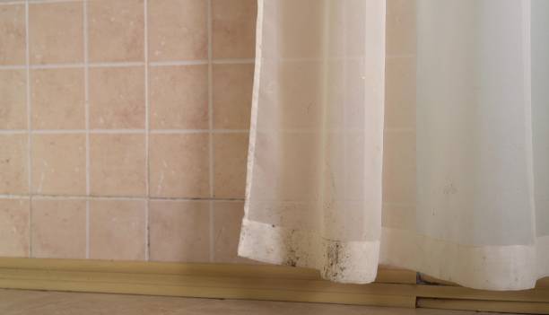 Best Mold-Related Health Consultation  in Hawaiian Beaches, HI