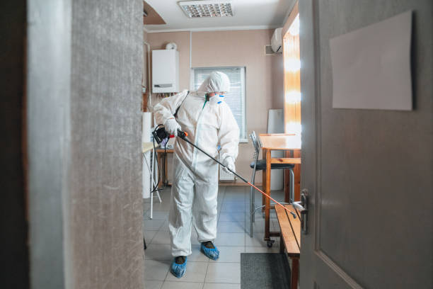 Best Basement Mold Removal  in Hawaiian Beaches, HI