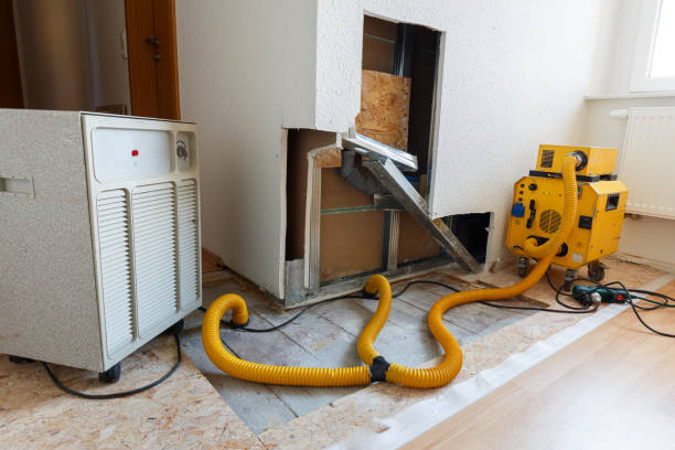 Best Mold Odor Removal Services  in Hawaiian Beaches, HI