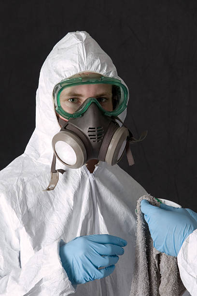 Best Environmental Consulting for Mold Prevention  in Hawaiian Beaches, HI